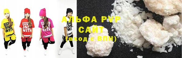 шишки Карпинск
