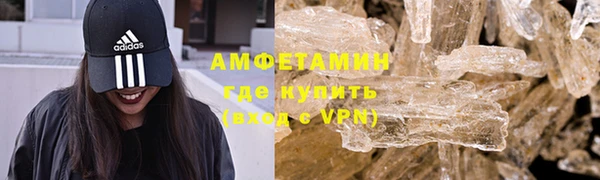 шишки Карпинск