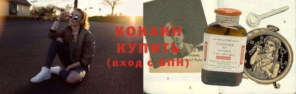 шишки Карпинск