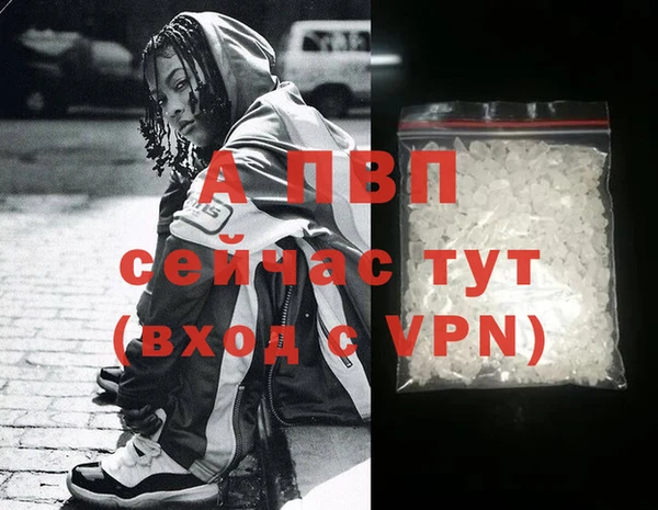 шишки Карпинск