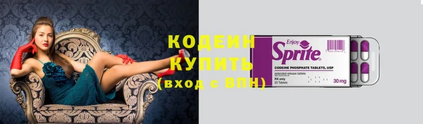 шишки Карпинск