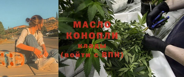 шишки Карпинск
