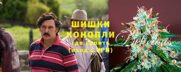 шишки Карпинск