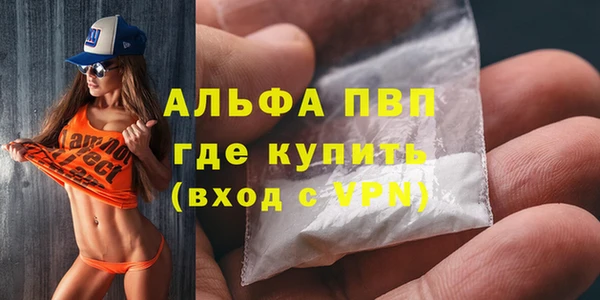 дмт Каменка