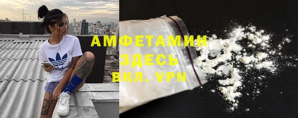дмт Каменка